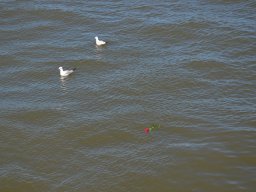 007_der letzte gruss zur see_hp